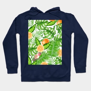 Tropical pattern, hummingbirds II Hoodie